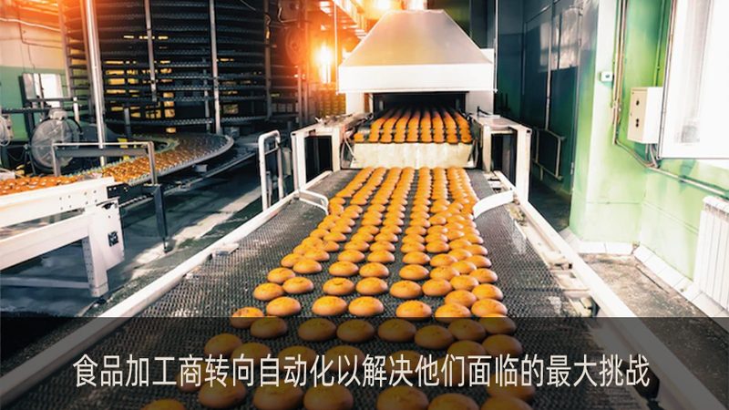 小型速冻设备：价格背后的考量因素**